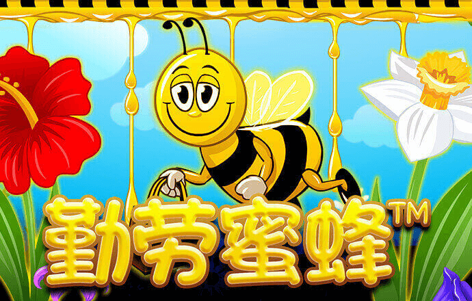 k8体育官网登录