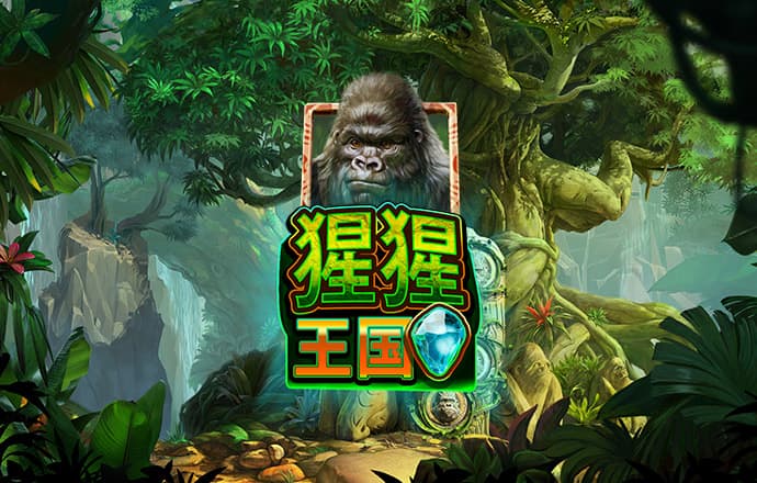 千锦娱乐网页版入口